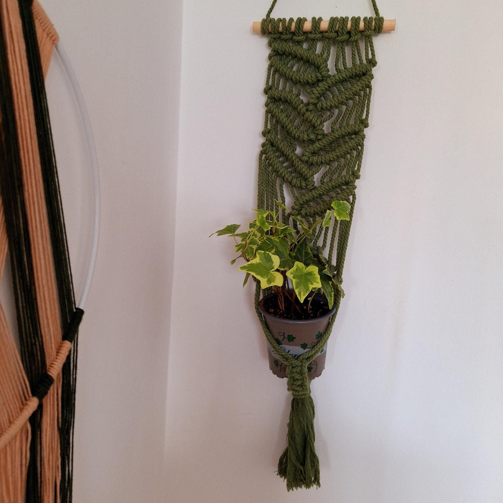 Macetero Colgante para plantas
