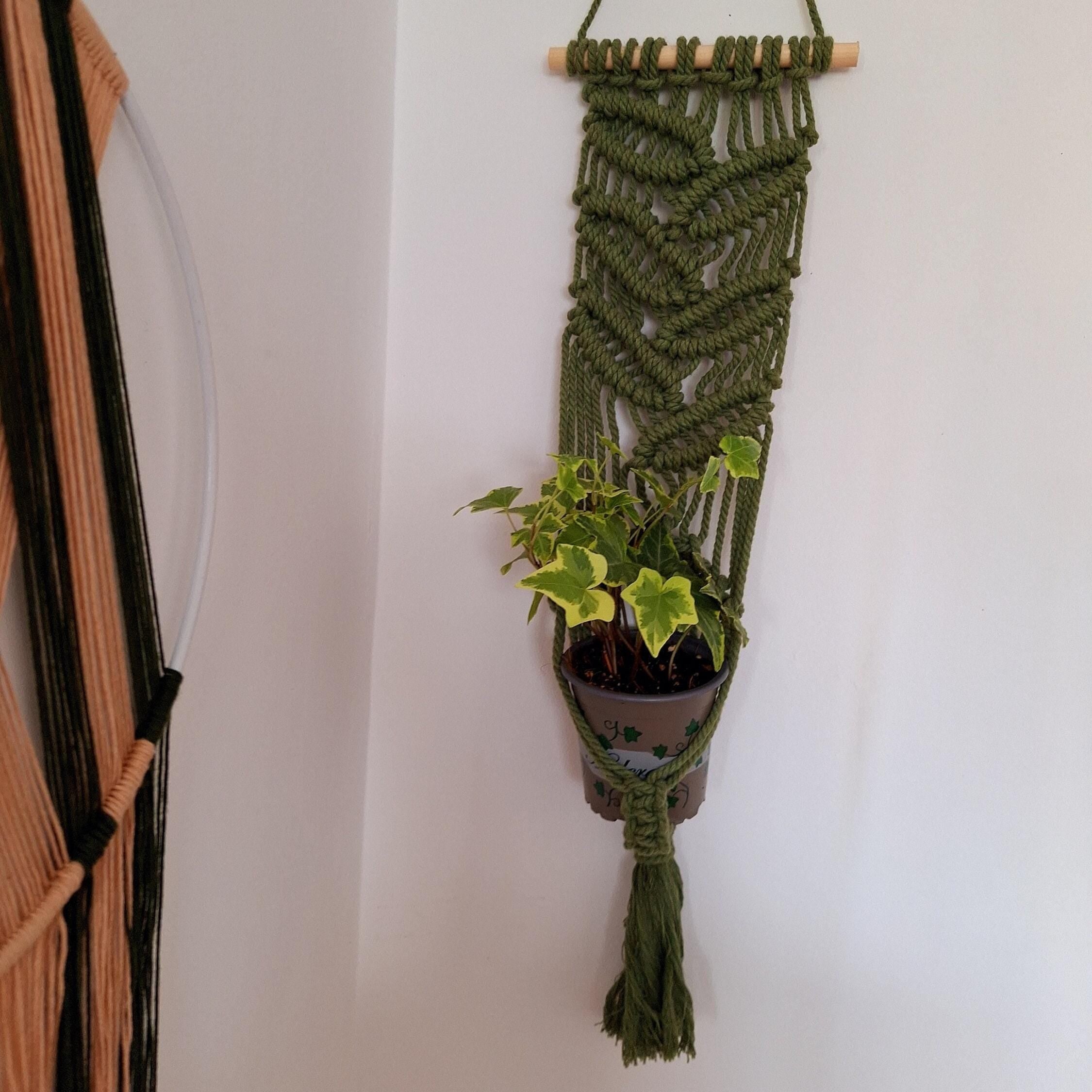 Macetero Colgante para plantas
