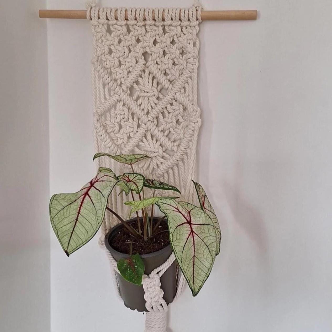 Macetero Colgante para plantas