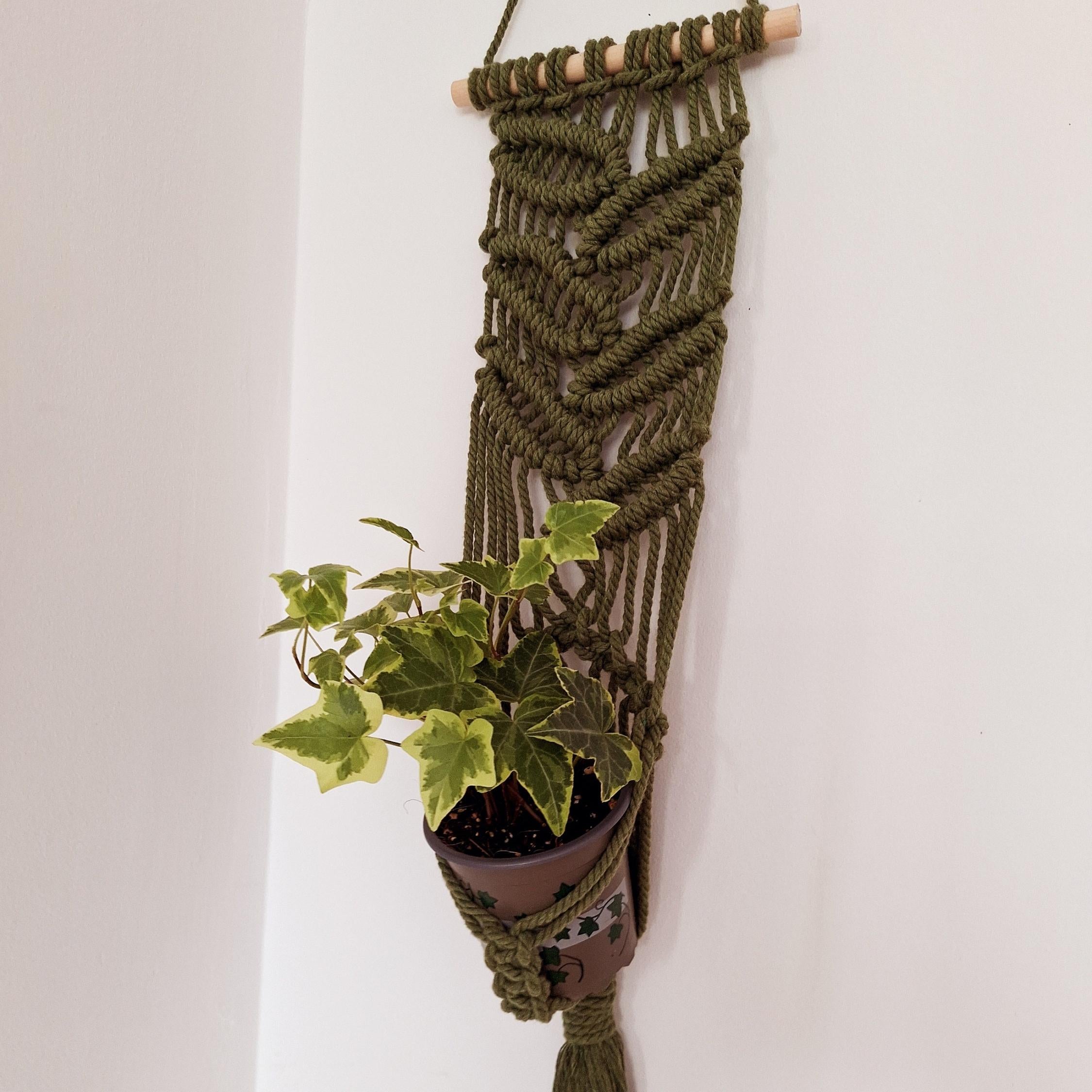 Macetero Colgante para plantas