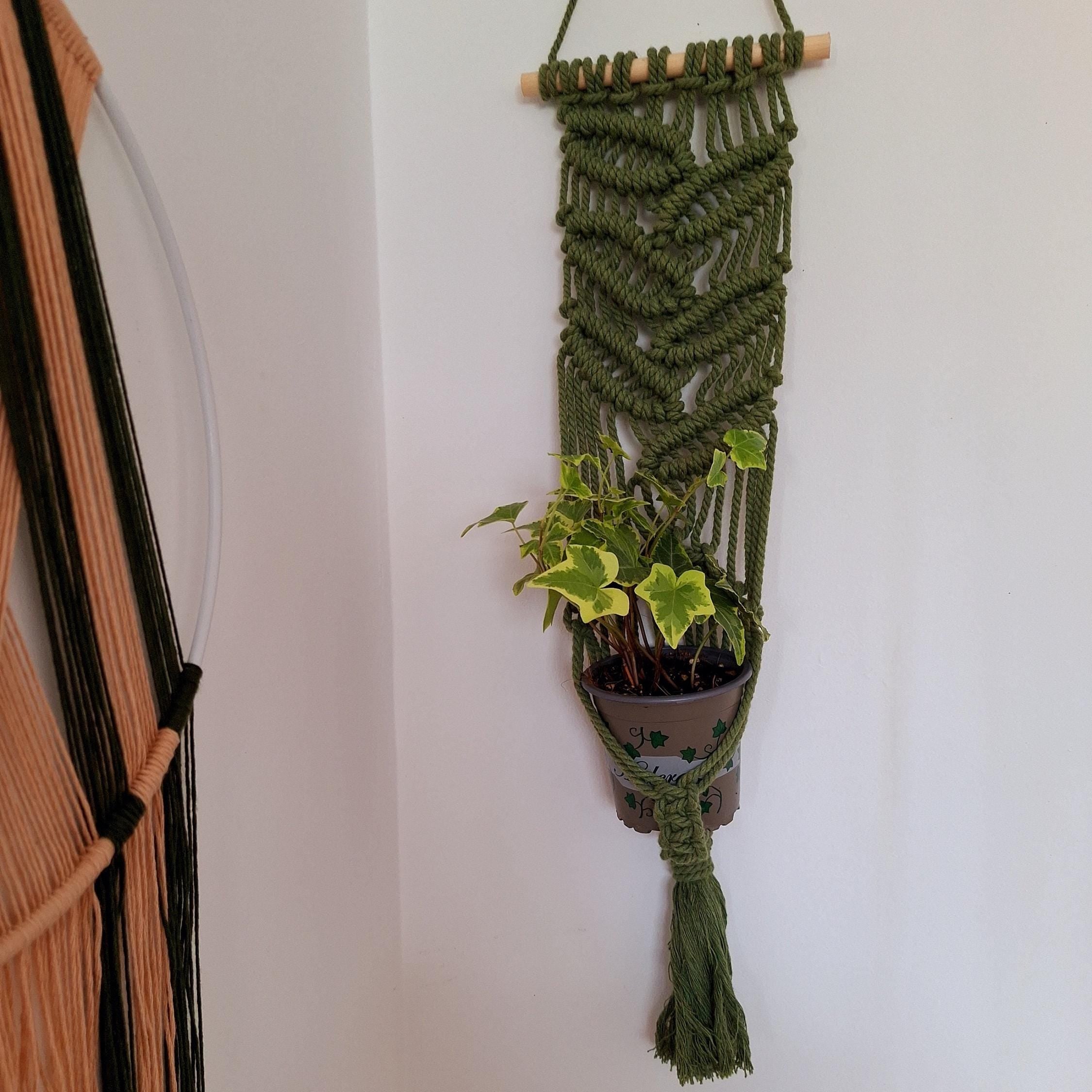 Macetero Colgante para plantas