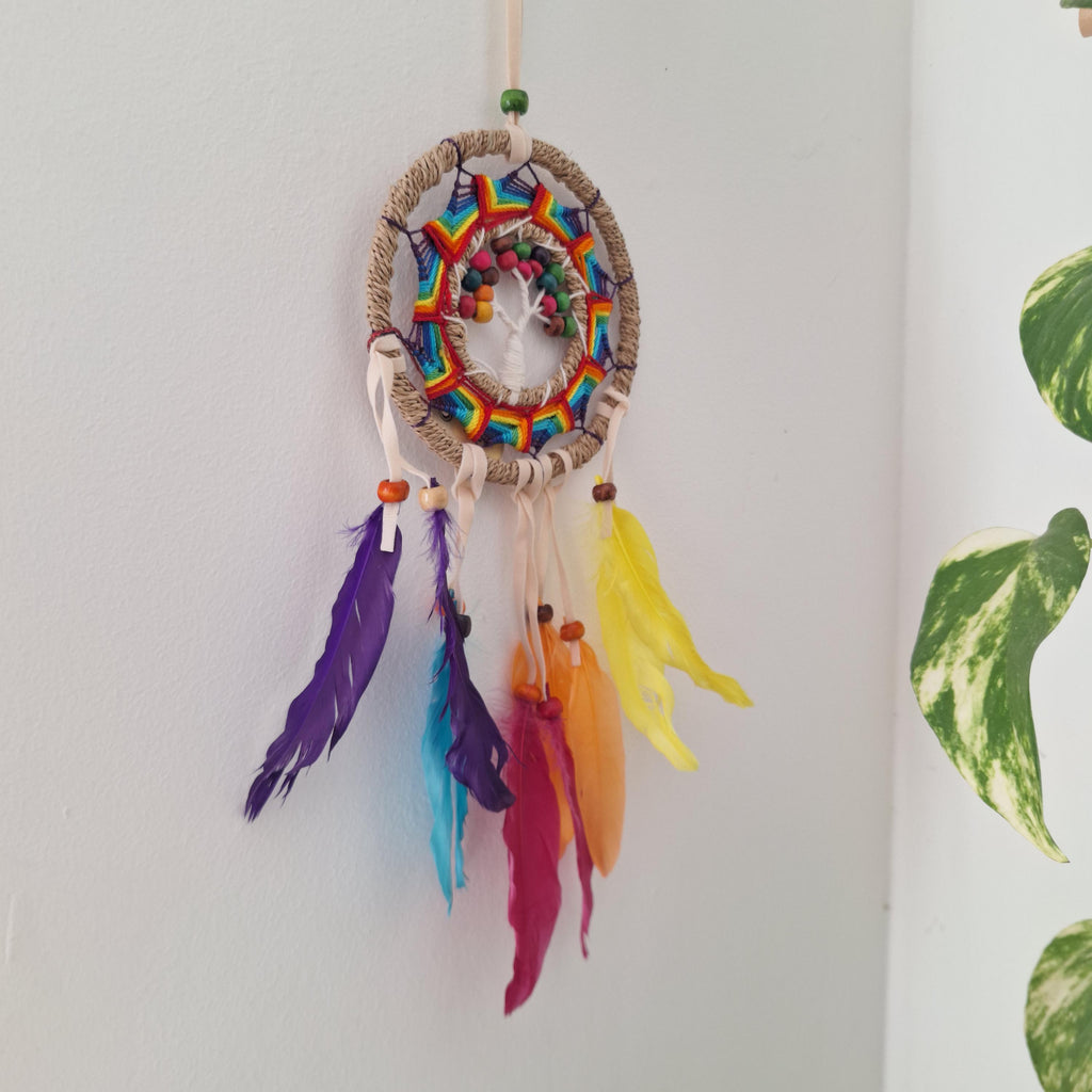 Atrapasueños Multicolor de Macramé