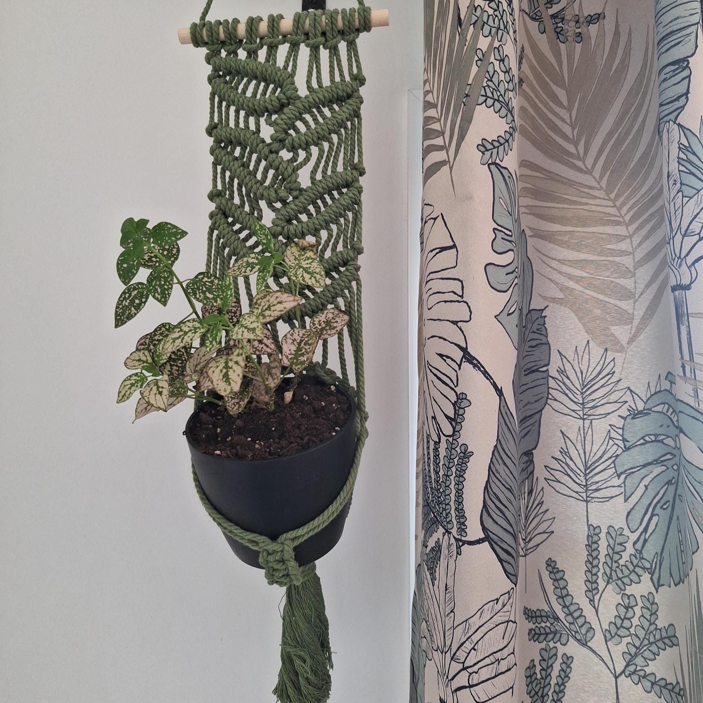 Macetero Colgante para plantas