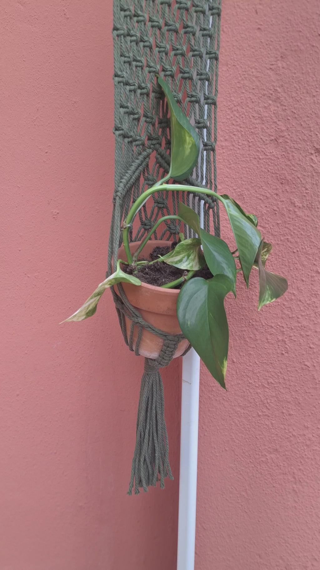 Portamacetas
