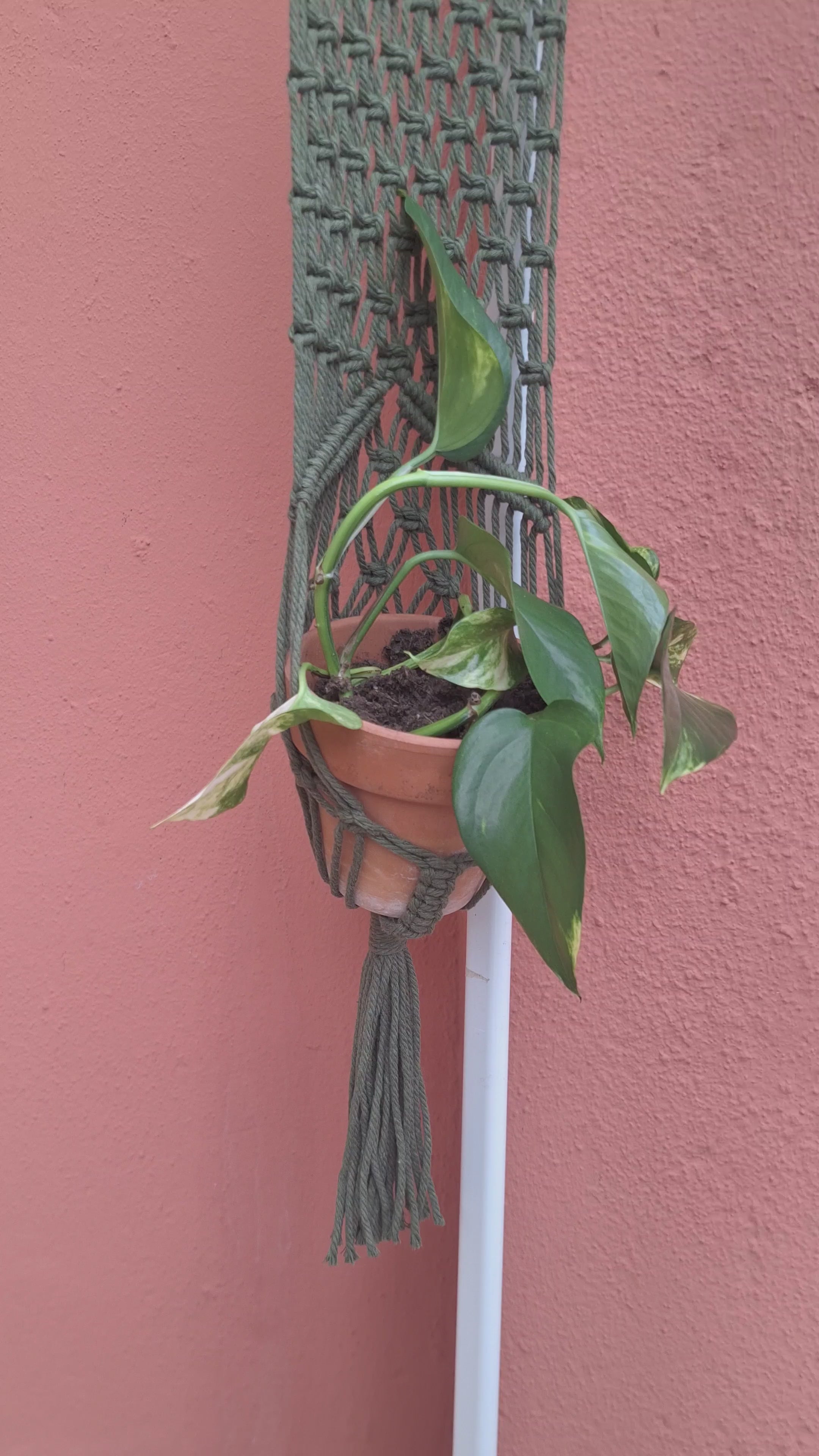 Portamacetas