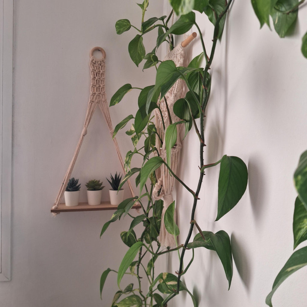 Soporte de Maceta de Macramé Boho