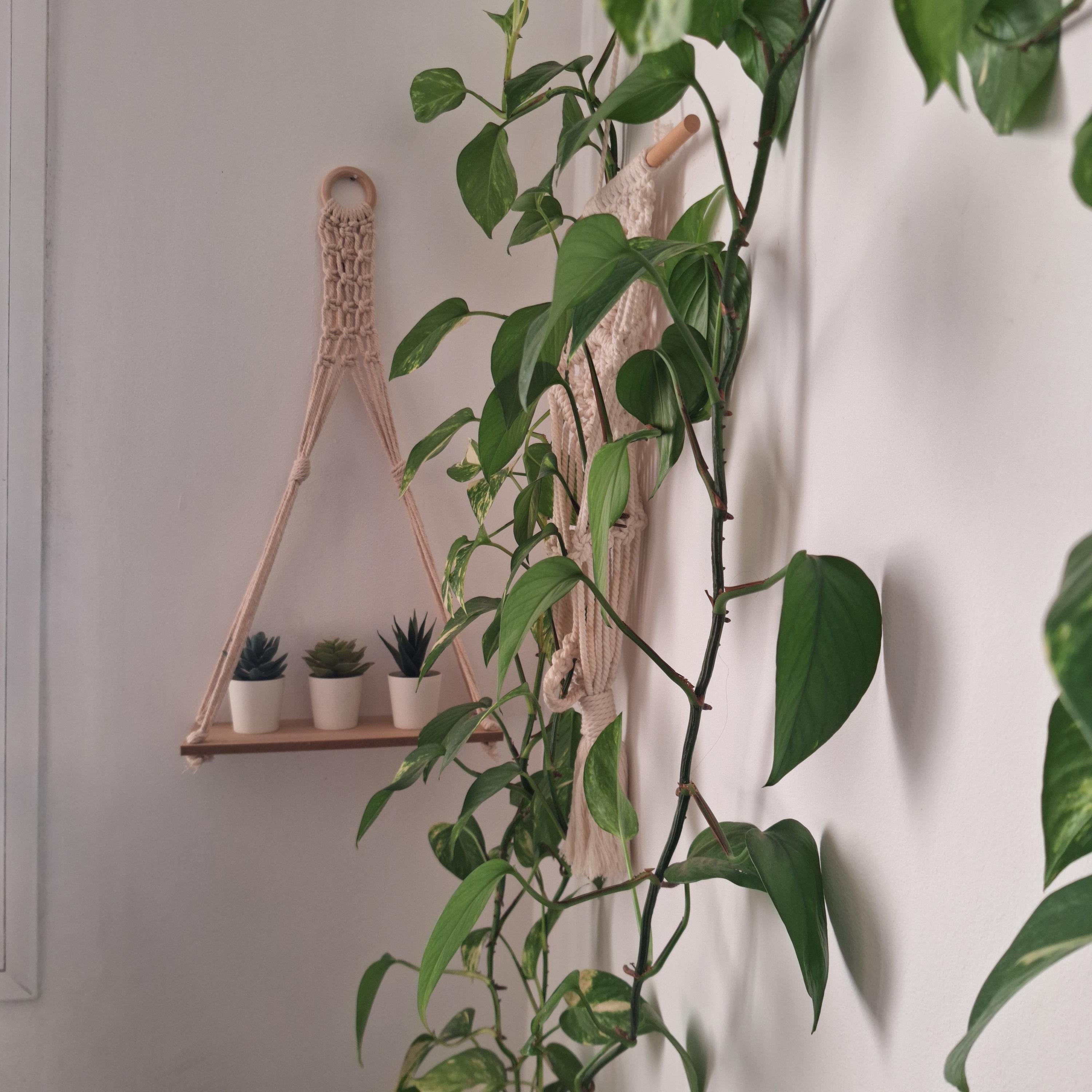 Soporte de Maceta de Macramé Boho